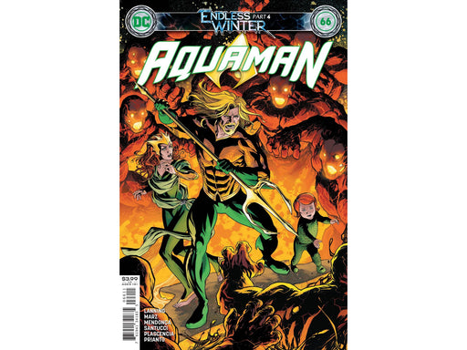 Comic Books DC Comics - Aquaman 066 (Cond. VF-) 5328 - Cardboard Memories Inc.