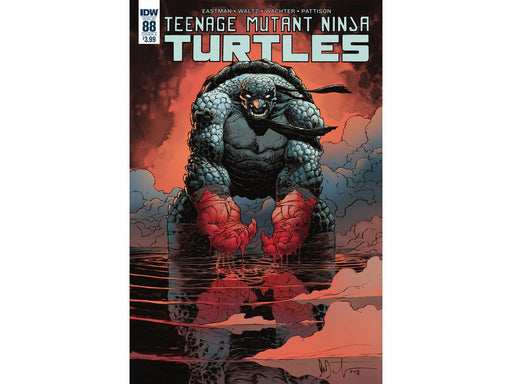 Comic Books IDW - TMNT 088 - Wachter Variant Edition (Cond. VF-) - 8820 - Cardboard Memories Inc.