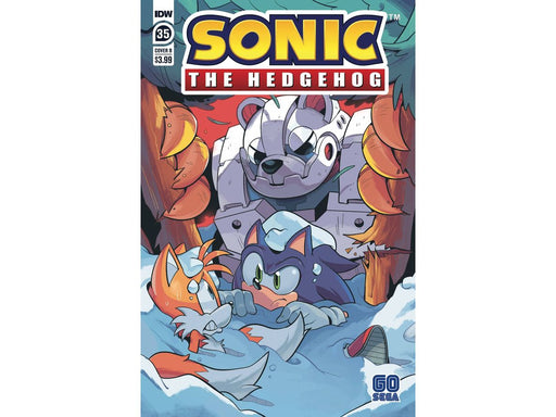 Comic Books IDW - Sonic the Hedgehog 035 - Rothlisberger Variant Edition (Cond. VF) - 8536 - Cardboard Memories Inc.