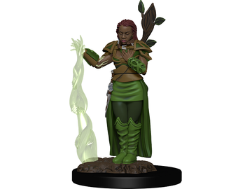 Role Playing Games Wizkids - Dungeons and Dragons - Premium Miniatures - Female Human Druid - 93009 - Cardboard Memories Inc.
