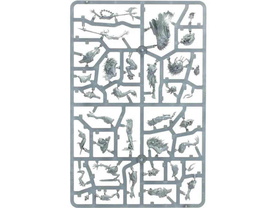 Collectible Miniature Games Games Workshop - Warhammer Age of Sigmar - Warcry - Royal Beastflayers - 111-98 - Cardboard Memories Inc.