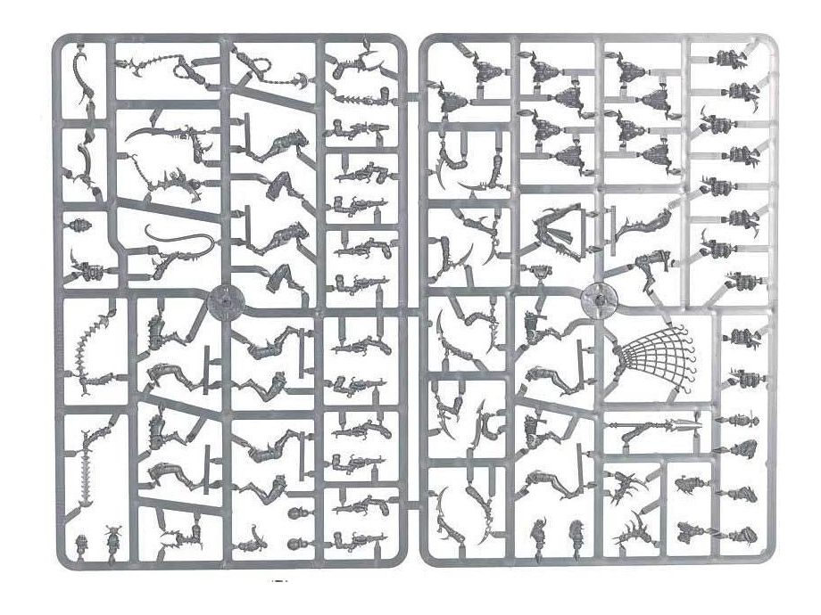 Collectible Miniature Games Games Workshop - Warhammer 40K - Drukhari - Wyches - 45-08 - Cardboard Memories Inc.