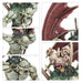 Collectible Miniature Games Games Workshop - Warhammer Age of Sigmar - Spearhead - Flesh-eater Courts - Charnel Watch - 70-915 - Cardboard Memories Inc.