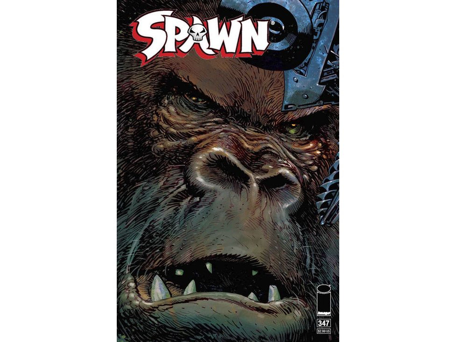 Comic Books Image Comics - Spawn (2023) 347 (Cond. VF-) CVR A PANOSIAN - 19958 - Cardboard Memories Inc.