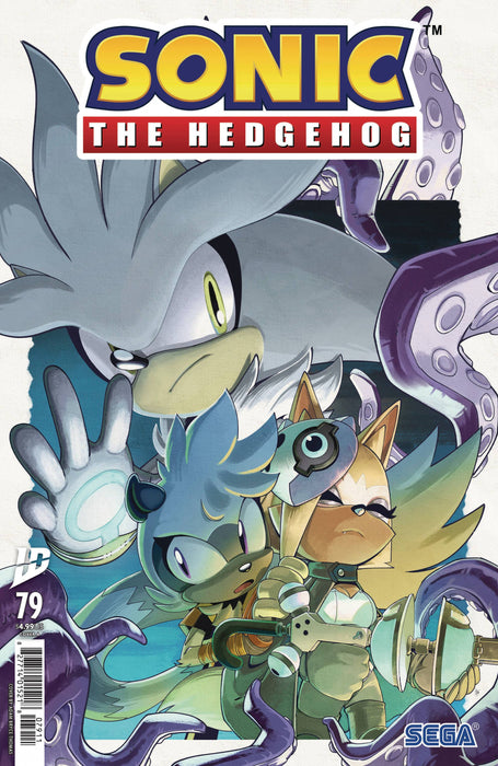 Comic Books IDW Comics - Sonic the Hedgehog (2018) 079 - CVR A (Cond. VF-) - 22799 - Cardboard Memories Inc.