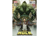 Comic Books Marvel Comics - Totally Awesome Hulk (2017) 016 (Cond. VF-) - 19751 - Cardboard Memories Inc.