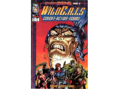 Comic Books Wildstorm - Wildcats Covert Action Teams (1992) 020 (Cond. FN) - 19255 - Cardboard Memories Inc.