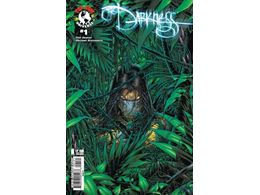 Comic Books Image Comics Darkness (2007 3rd Series) 001 - CVR B Variant Edition (Cond. FN-) 20815 - Cardboard Memories Inc.