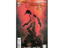 Comic Books Image Comics Darkness (2007 3rd Series) 009 - CVR B Variant Edition (Cond. FN) 20821 - Cardboard Memories Inc.