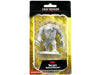 Role Playing Games Wizkids - Dungeons and Dragons - Unpainted Miniature - Nolzurs Marvellous Miniatures - Grey Render - 90249 - Cardboard Memories Inc.