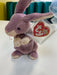 Plush TY Beanie Baby - Springy the Bunny - Cardboard Memories Inc.