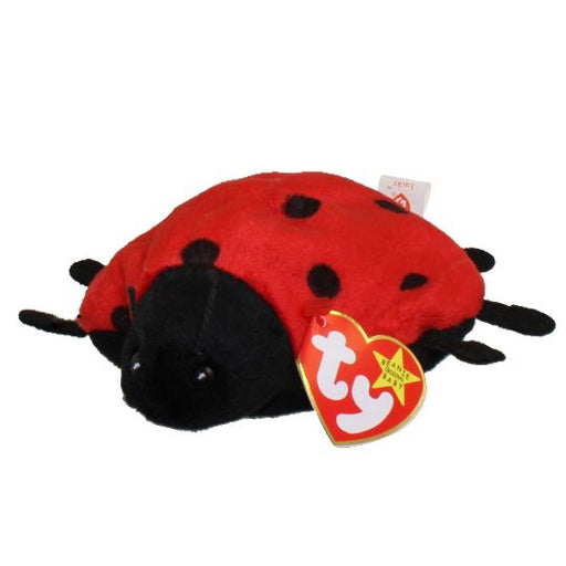 Plush TY Beanie Baby - Lucky the Ladybug - Cardboard Memories Inc.