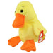 Plush TY Beanie Baby - Quackers the Duck - Cardboard Memories Inc.