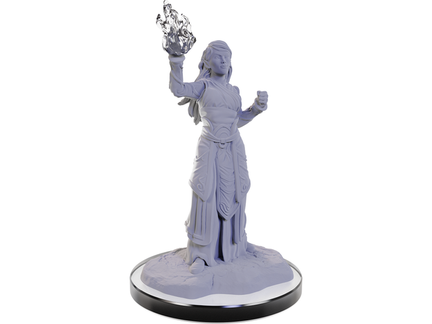 Role Playing Games Wizkids - Dungeons and Dragons - Unpainted Miniature - Nolzurs Marvellous Miniatures - Elf Wizards - 90672 - Cardboard Memories Inc.