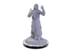 Role Playing Games Wizkids - Dungeons and Dragons - Unpainted Miniature - Nolzurs Marvellous Miniatures - Elf Wizards - 90672 - Cardboard Memories Inc.