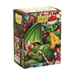 Supplies Arcane Tinmen - Dragon Shield Art Sleeves - Standard Size - Brushed Art - Christmas 2024 - Package of 100 - Cardboard Memories Inc.