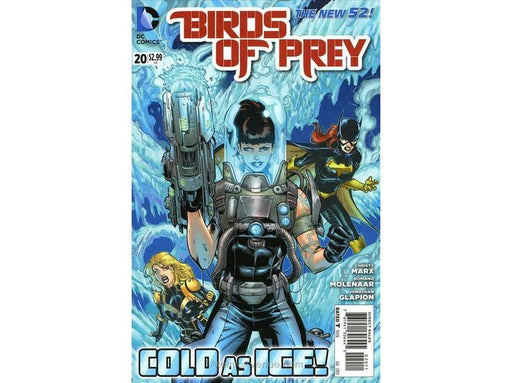 Comic Books DC Comics - Birds of Prey 020 (Cond. VF-) - 17109 - Cardboard Memories Inc.