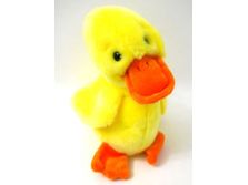 Plush TY Beanie Buddy - Quackers the Duck - Cardboard Memories Inc.