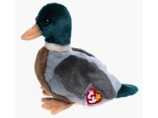 Plush TY Beanie Buddy - Jake the Mallard Duck - Cardboard Memories Inc.