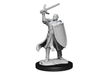 Role Playing Games Wizkids - Dungeons and Dragons - Unpainted Miniature - Nolzurs Marvellous Miniatures - Half-Elf Paladin Male - 90230 - Cardboard Memories Inc.