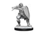 Role Playing Games Wizkids - Dungeons and Dragons - Unpainted Miniature - Nolzurs Marvellous Miniatures - Human Male Paladin - 90220 - Cardboard Memories Inc.