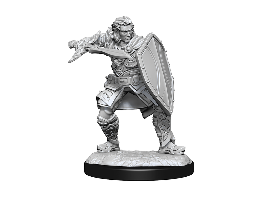 Role Playing Games Wizkids - Dungeons and Dragons - Unpainted Miniature - Nolzurs Marvellous Miniatures - Human Male Paladin - 90220 - Cardboard Memories Inc.