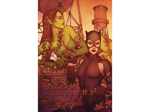 Comic Books DC Comics - Catwoman 031 - Jenny Frison Card Stock Variant Edition (Cond. VF-) - 10898 - Cardboard Memories Inc.
