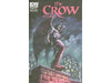 Comic Books, Hardcovers & Trade Paperbacks IDW - The Crow Pestilence 004 Cover B (Cond VF-) - 13173 - Cardboard Memories Inc.