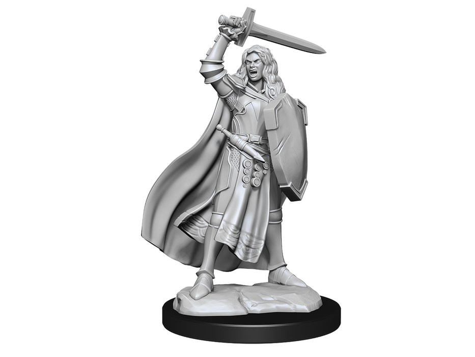 Role Playing Games Paizo - Pathfinder - Unpainted Miniatures - Deep Cuts - Human Champion Female - 90264 - Cardboard Memories Inc.