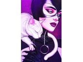Comic Books DC Comics - Catwoman 027 - Card Stock Jenny Frison Variant Edition (Cond. VF-) - 8893 - Cardboard Memories Inc.
