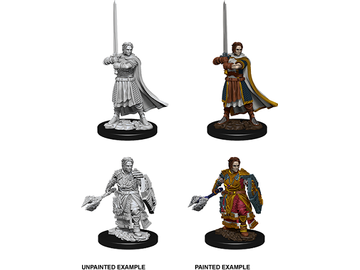 Role Playing Games Wizkids - Dungeons and Dragons - Unpainted Miniatures - Nolzurs Marvelous Miniatures - Male Human Cleric - 73672 - Cardboard Memories Inc.