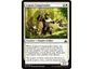 Trading Card Games Magic the Gathering - Legion Conquistador - Common - RIX011 - Cardboard Memories Inc.