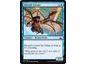 Trading Card Games Magic the Gathering - Kitesail Corsair - Common - RIX041 - Cardboard Memories Inc.