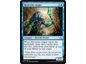 Trading Card Games Magic the Gathering - Riverwise Augur - Uncommon - RIX048 - Cardboard Memories Inc.