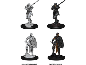 Role Playing Games Wizkids - Dungeons and Dragons - Unpainted Miniatures - Nolzurs Marvelous Miniatures - Female Human Fighter - 73705 - Cardboard Memories Inc.