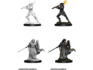 Role Playing Games Wizkids - Dungeons and Dragons - Unpainted Miniatures - Nolzurs Marvelous Miniatures - Female Human Paladin - 73830 - Cardboard Memories Inc.