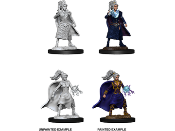 Role Playing Games Wizkids - Dungeons and Dragons - Unpainted Miniatures - Nolzurs Marvelous Miniatures - Female Human Sorcerer - 73832 - Cardboard Memories Inc.