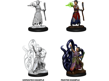 Role Playing Games Wizkids - Dungeons and Dragons - Unpainted Miniatures - Nolzurs Marvelous Miniatures - Female Human Warlock - 73837 - Cardboard Memories Inc.