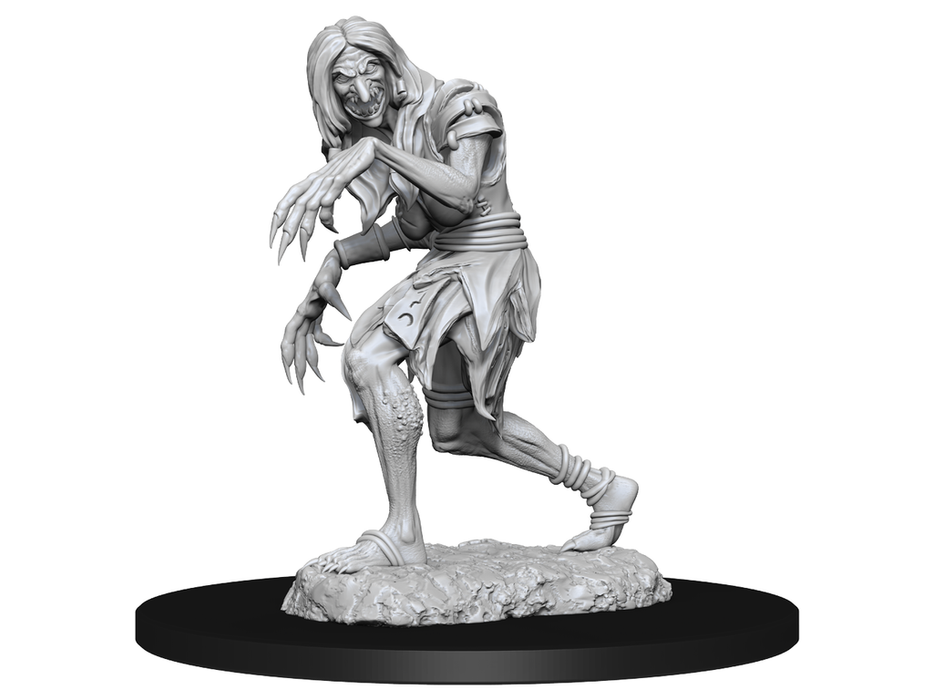 Role Playing Games Paizo - Pathfinder - Unpainted Miniatures - Deep Cuts - Annis Hag and Green Hag - 90266 - Cardboard Memories Inc.