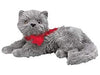 Plush TY Beanie Babies - Beani the Grey Cat - Cardboard Memories Inc.