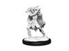 Role Playing Games Wizkids - Dungeons and Dragons - Unpainted Miniature - Nolzurs Marvellous Miniatures - Winter and Spring Eladrin - 90320 - Cardboard Memories Inc.