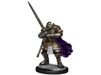 Role Playing Games Wizkids - Dungeons and Dragons - Unpainted Miniature - Nolzurs Marvellous Miniatures - Half Orc Paladin Male - 90307 - Cardboard Memories Inc.