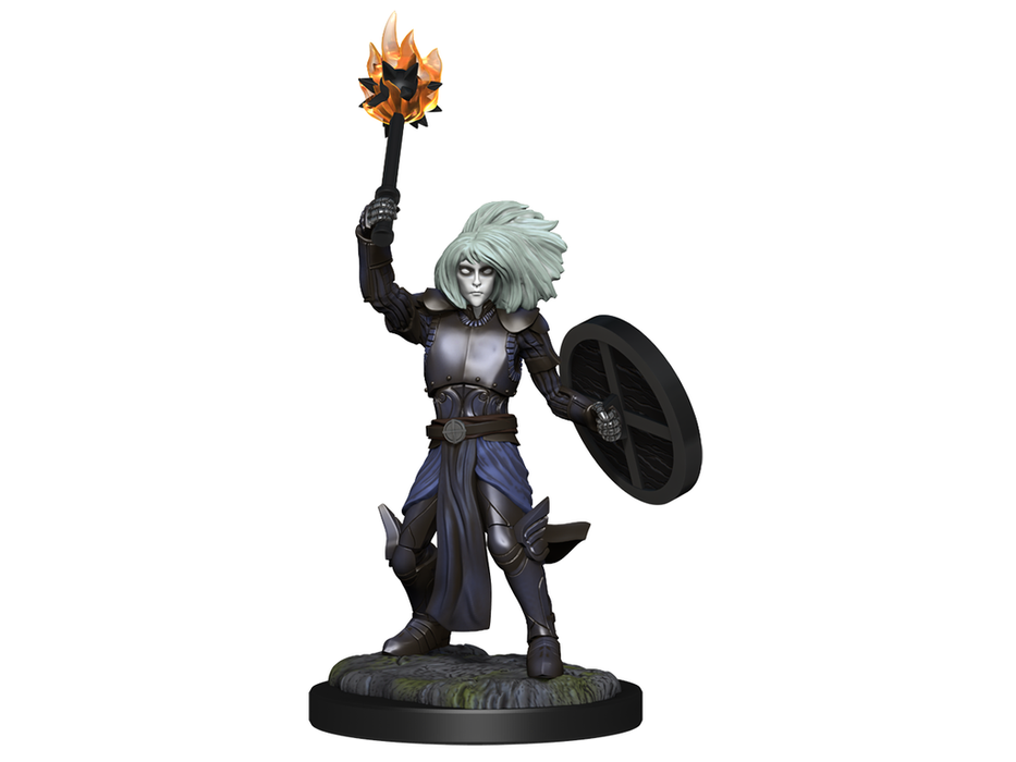 Role Playing Games Wizkids - Dungeons and Dragons - Unpainted Miniature - Nolzurs Marvellous Miniatures - Changeling Cleric Male - 90237 - Cardboard Memories Inc.
