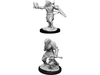 Role Playing Games Wizkids - Dungeons and Dragons - Nolzurs Marvellous Miniatures - Male Dragonborn Paladin - 90002 - Cardboard Memories Inc.