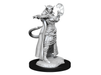 Role Playing Games Wizkids - Dungeons and Dragons - Unpainted Miniature - Nolzurs Marvellous Miniatures - Tiefling Sorcerer Female - 90304 - Cardboard Memories Inc.