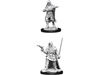 Role Playing Games Wizkids - Pathfinder - Unpainted Miniature - Deep Cuts - Human Male Rogue - 90168 - Cardboard Memories Inc.