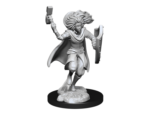 Role Playing Games Wizkids - Dungeons and Dragons - Unpainted Miniature - Nolzurs Marvellous Miniatures - Changeling Cleric Male - 90237 - Cardboard Memories Inc.