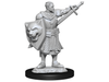 Role Playing Games Paizo - Pathfinder - Unpainted Miniatures - Deep Cuts - Human Champion Male - 90263 - Cardboard Memories Inc.