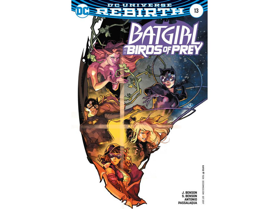 Comic Books DC Comics - Batgirl and the Birds of Prey (2016) 013 - Cover B Variant Edition (Cond. FN-) - 1420 - Cardboard Memories Inc.