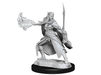 Role Playing Games Wizkids - Dungeons and Dragons - Unpainted Miniature - Nolzurs Marvellous Miniatures - Winter and Spring Eladrin - 90320 - Cardboard Memories Inc.